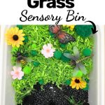 bugs sensory bin